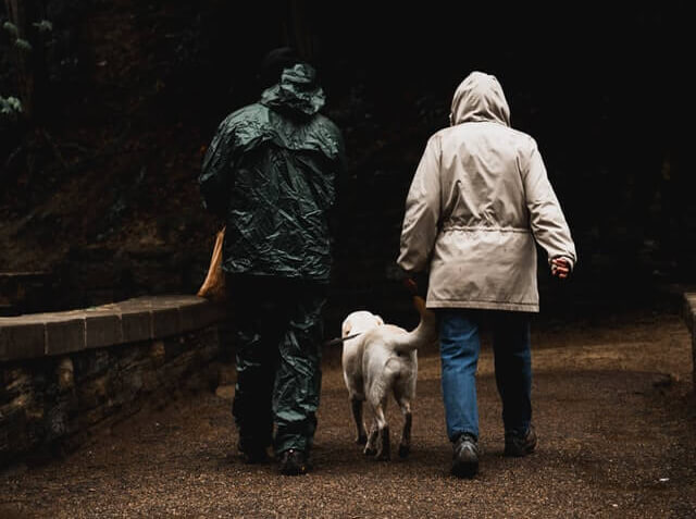 Doi oameni ce fac efortul de a plimba prin ploaie exprimând regretul de a adopta un câine