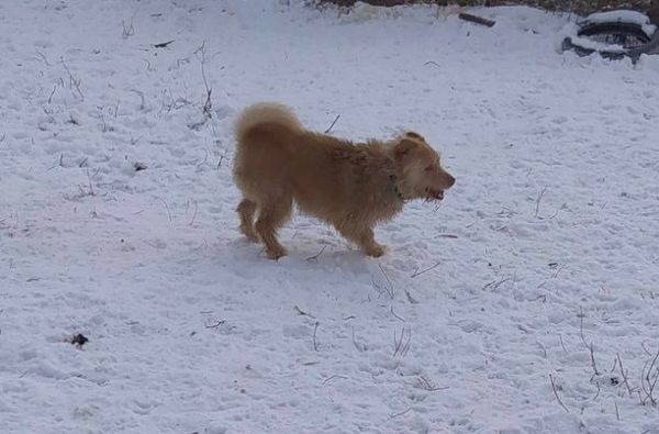 Blue,mascul,20.03.2021